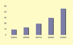 2005-2006年中国软件外包服务市场年度报告
